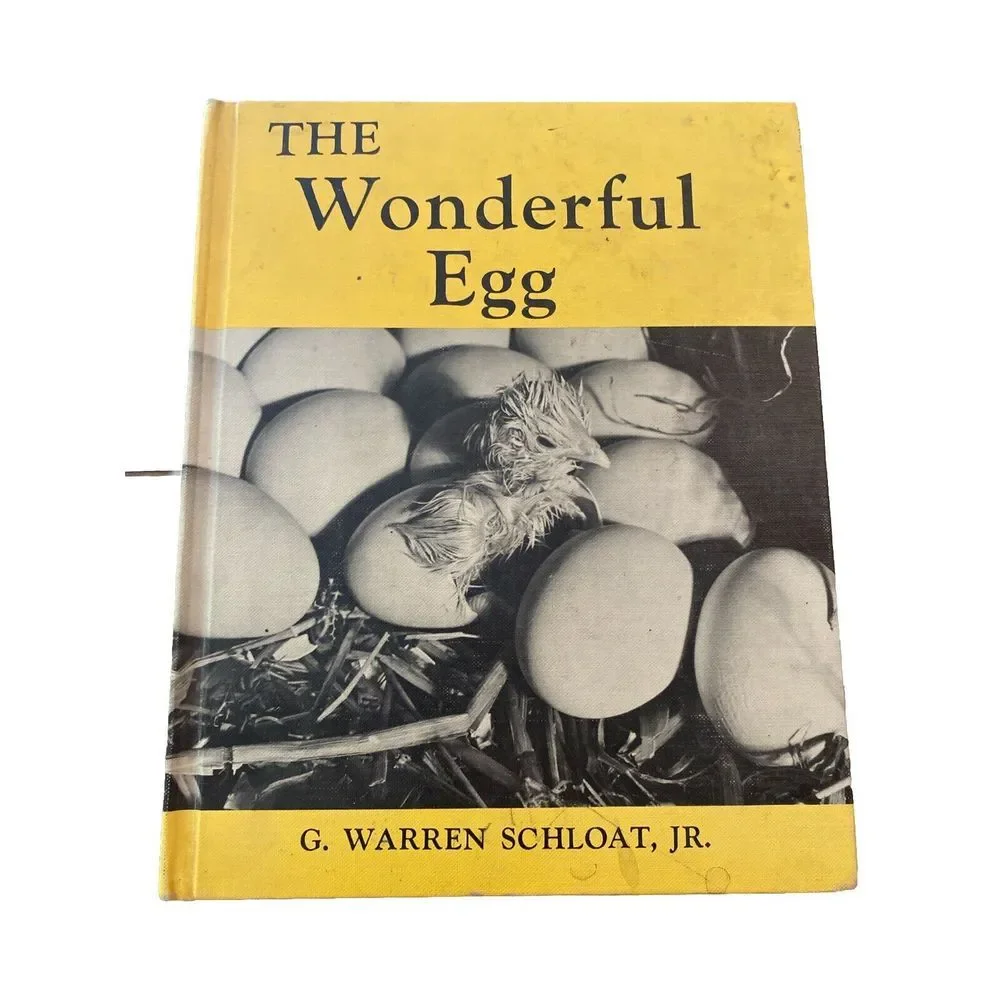The Wonderful Egg G Warren Schloat Jr Scribner Vintage Childrens Book Hardcover‎